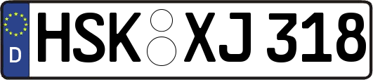 HSK-XJ318