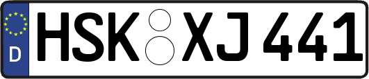 HSK-XJ441