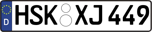 HSK-XJ449
