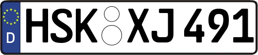 HSK-XJ491