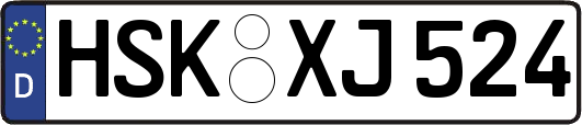 HSK-XJ524