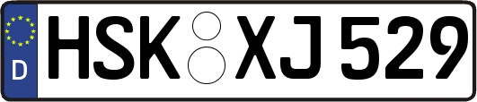 HSK-XJ529