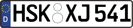 HSK-XJ541