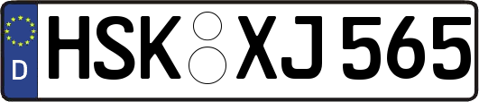 HSK-XJ565