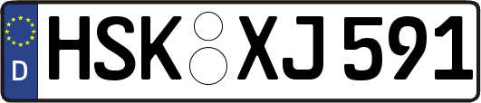 HSK-XJ591