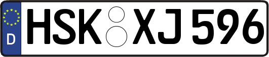 HSK-XJ596