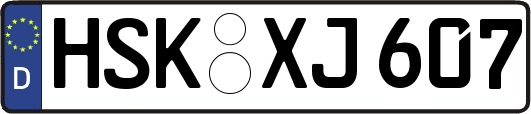 HSK-XJ607