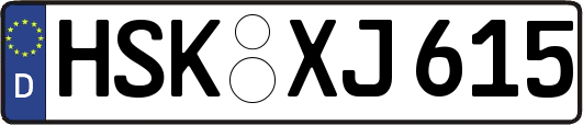 HSK-XJ615