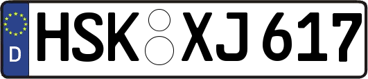 HSK-XJ617