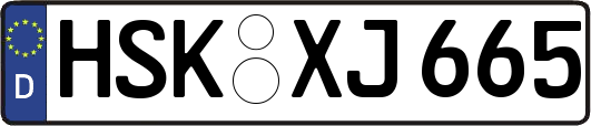HSK-XJ665