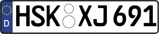 HSK-XJ691