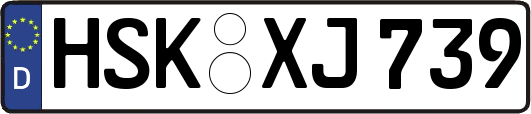 HSK-XJ739