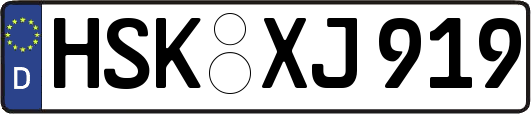 HSK-XJ919