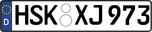 HSK-XJ973