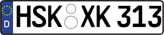 HSK-XK313