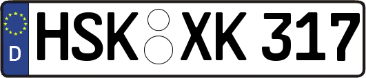 HSK-XK317