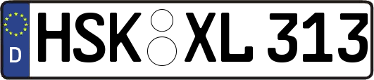 HSK-XL313
