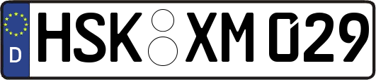 HSK-XM029
