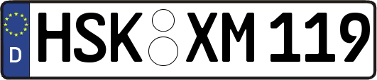 HSK-XM119