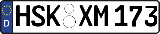 HSK-XM173