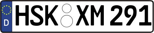 HSK-XM291