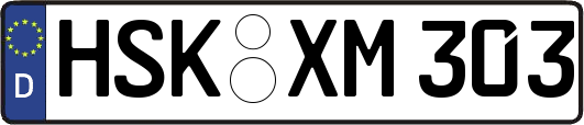 HSK-XM303