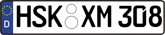 HSK-XM308