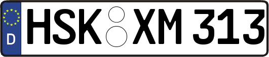 HSK-XM313