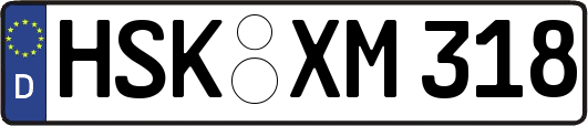 HSK-XM318