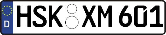 HSK-XM601