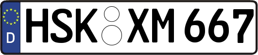 HSK-XM667
