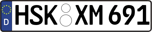 HSK-XM691