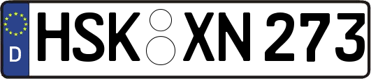 HSK-XN273