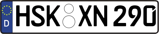 HSK-XN290