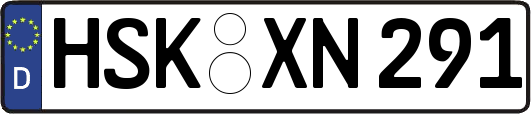 HSK-XN291