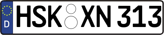 HSK-XN313