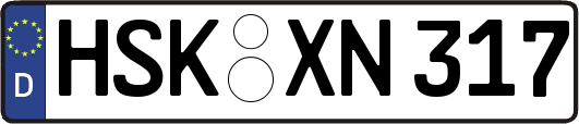 HSK-XN317