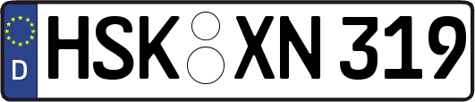 HSK-XN319
