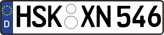 HSK-XN546
