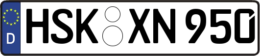 HSK-XN950