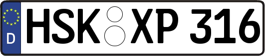 HSK-XP316