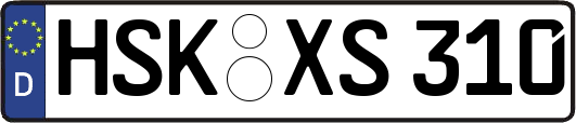HSK-XS310