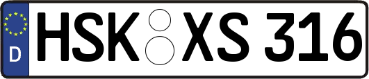 HSK-XS316