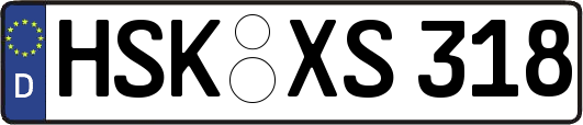 HSK-XS318