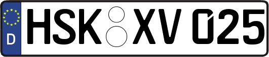 HSK-XV025