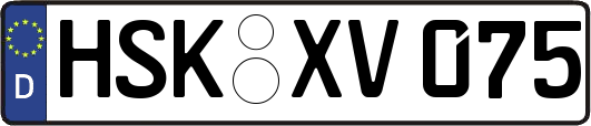 HSK-XV075