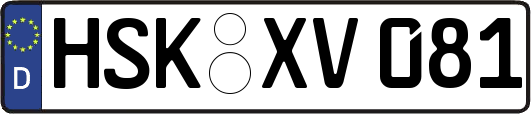 HSK-XV081