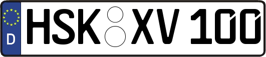 HSK-XV100