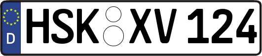 HSK-XV124