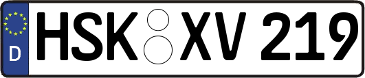 HSK-XV219